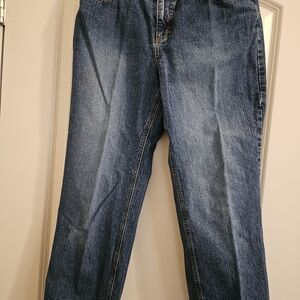 Ann Taylor LOFT Dark Blue Denim Jeans